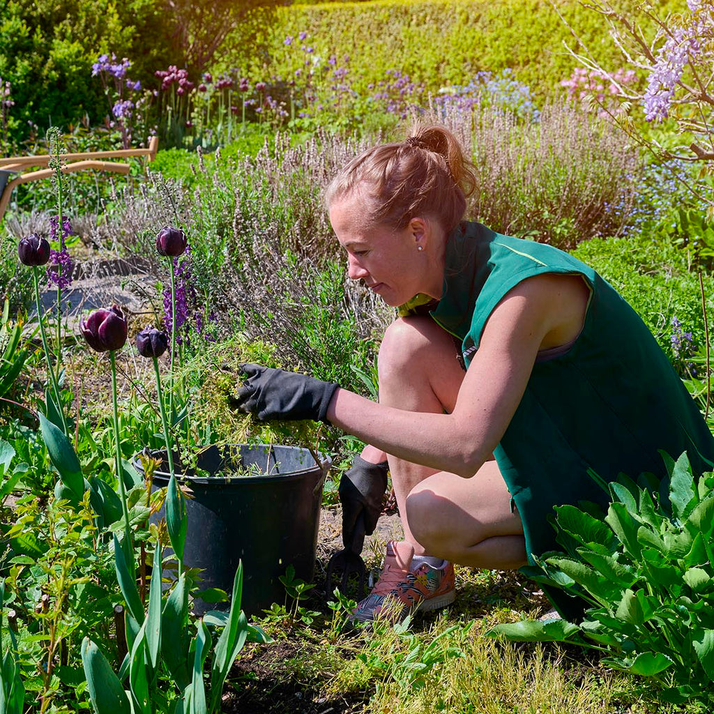 Getting to Know your Garden