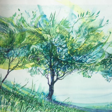 Watercolour - 'Tricks for Trees'