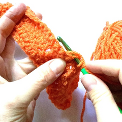 Beginners Crochet