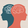 Insights into the Adolescent Brain