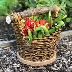 Basket Making - Asyemetric baskets