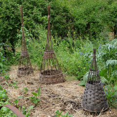 Basket Making - Obelisks