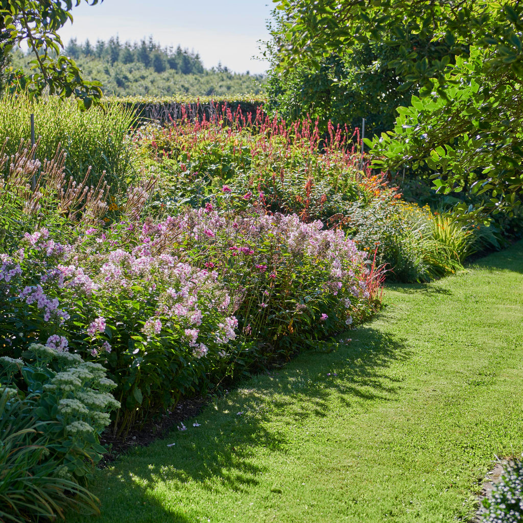 Making the Most of Your Garden Borders