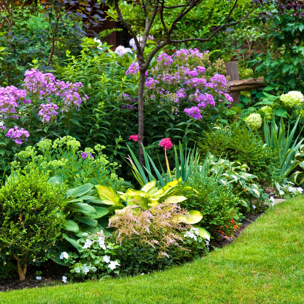 Making the Most of Your Garden Borders