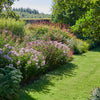Making the Most of Your Garden Borders