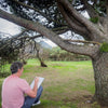Tree Stories