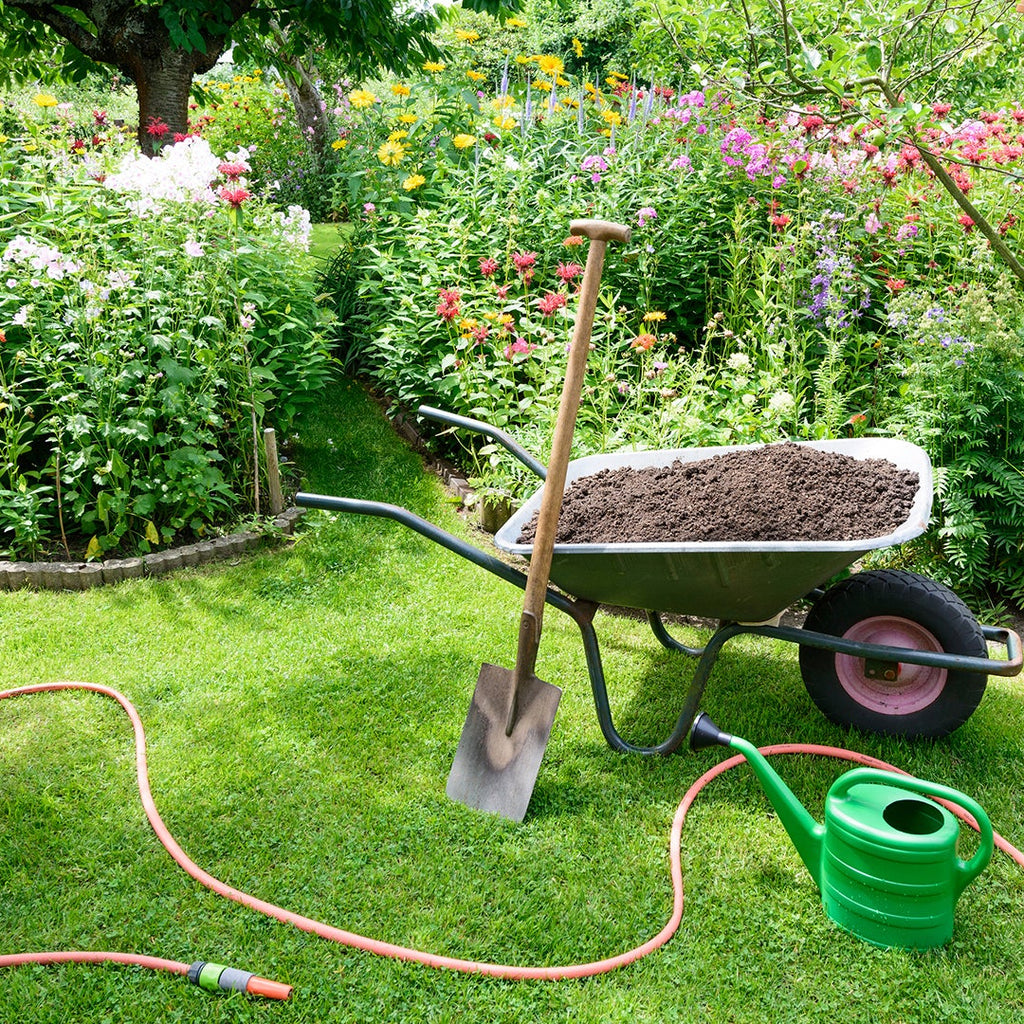 Garden with wheelbarrow, watering can, and tools on a grassy area with flowers and plants.