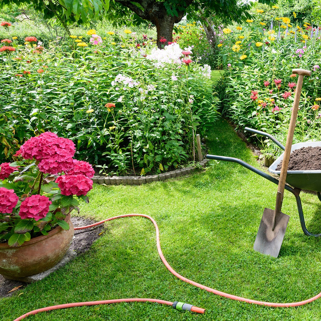 Garden with wheelbarrow, watering can, and tools on a grassy area with flowers and plants.