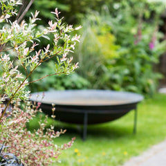 Getting to Know your Garden